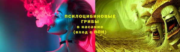 твердый Приозерск