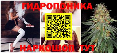 ПСИЛОЦИБИНОВЫЕ ГРИБЫ Кимры