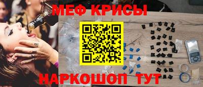 герыч Кингисепп