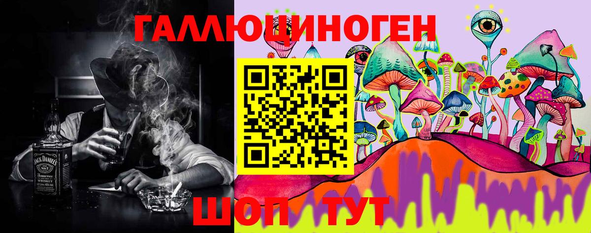 Псилоцибиновые грибы Psilocybe Подольск