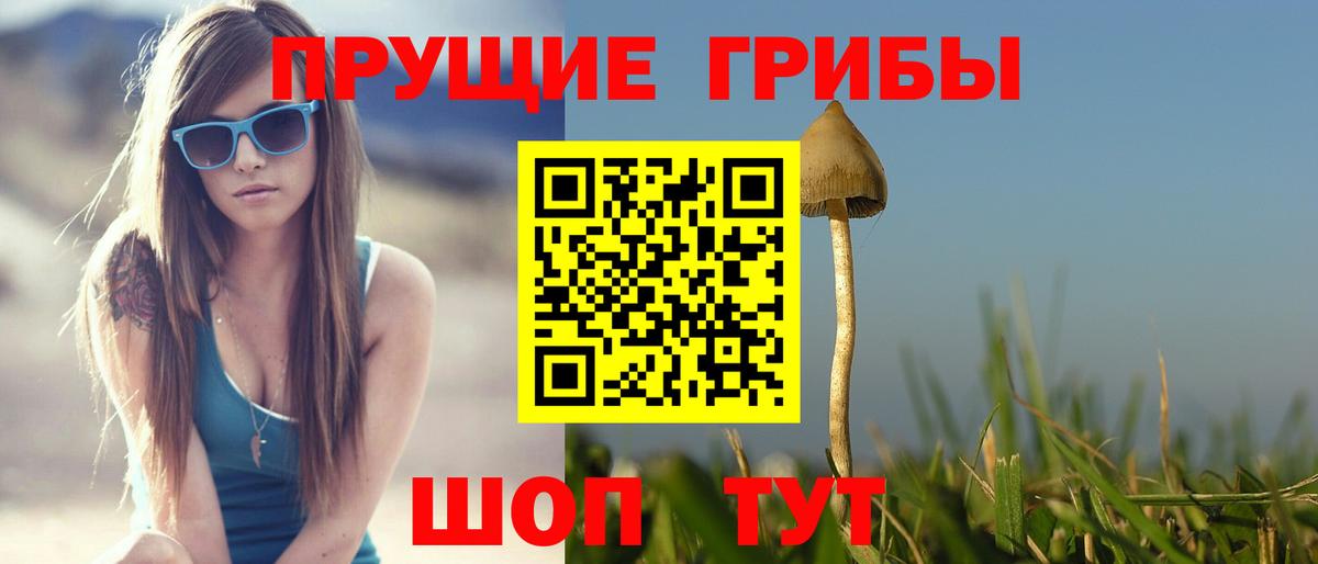 Псилоцибиновые грибы мухоморы  Вход с VPN  Подольск 
