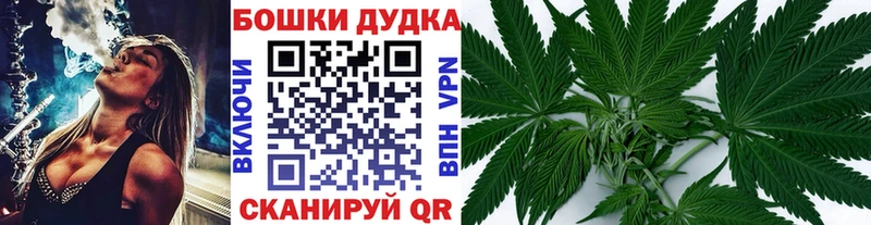 Каннабис сатива  ОМГ ОМГ ONION  Подольск 