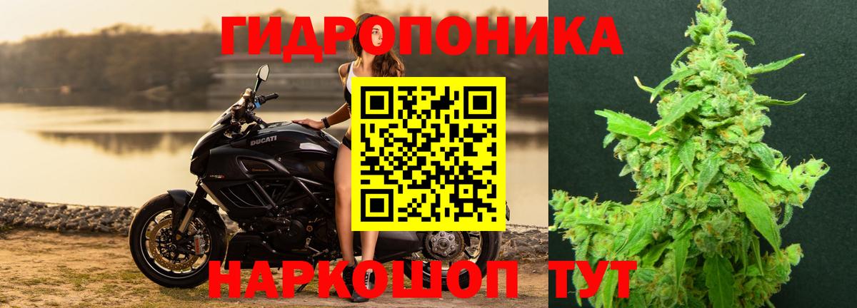 Канабис Bruce Banner Подольск